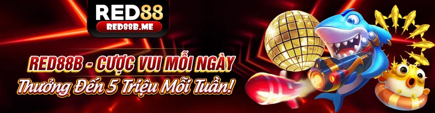 Chương Trình VIP Độc Quyền 8vnd chính thức