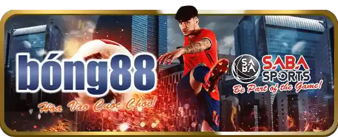 Cá cược bóng rổ tại 8vnd chính thức